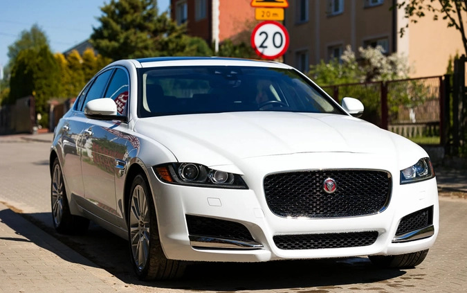 Jaguar XF cena 94000 przebieg: 56000, rok produkcji 2019 z Witkowo małe 326